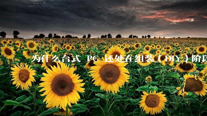 为什么台式 PC 还处在组装（DIY）阶段？