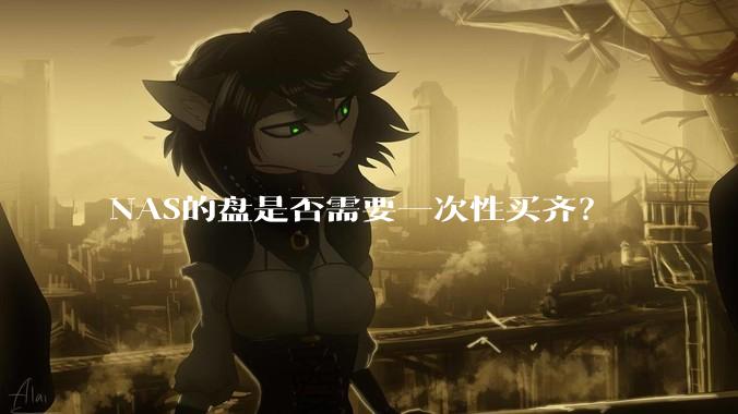 NAS的盘是否需要一次性买齐？
